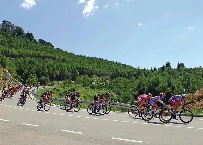 Apartment Lovely In With Wifi *